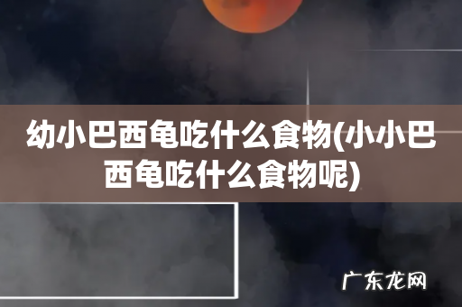 小小巴西龟吃什么食物呢 幼小巴西龟吃什么食物
