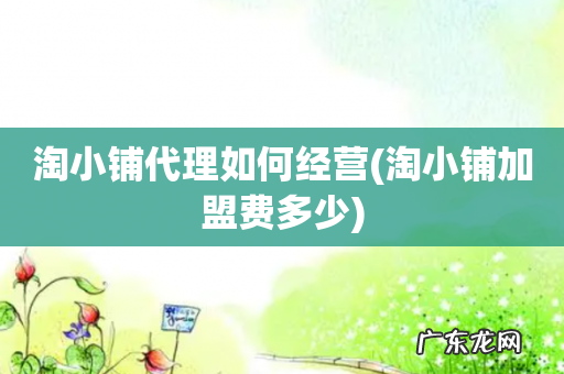 淘小铺加盟费多少 淘小铺代理如何经营