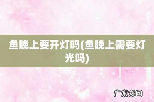 鱼晚上需要灯光吗 鱼晚上要开灯吗