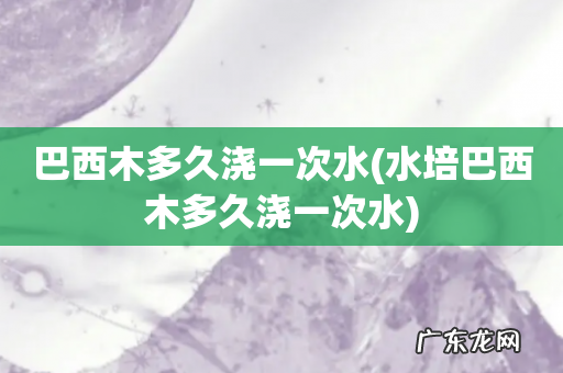 水培巴西木多久浇一次水 巴西木多久浇一次水