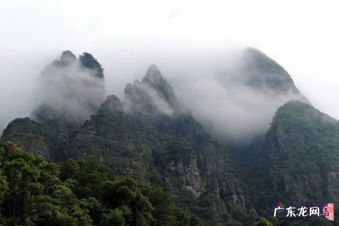 金秀县六巷乡旅游景点 金秀六巷平兰顶在什么地方