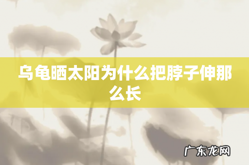 乌龟晒太阳为什么把脖子伸那么长