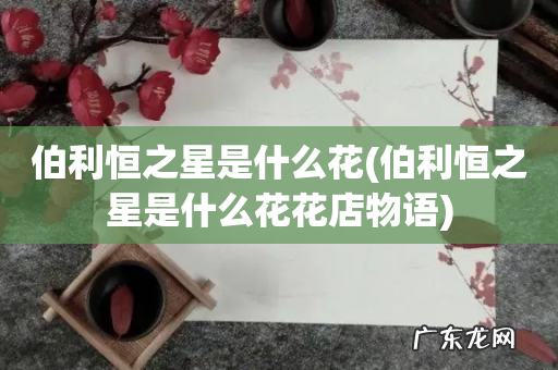 伯利恒之星是什么花花店物语 伯利恒之星是什么花