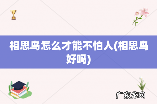 相思鸟好吗 相思鸟怎么才能不怕人