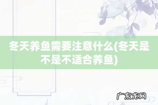 冬天是不是不适合养鱼 冬天养鱼需要注意什么
