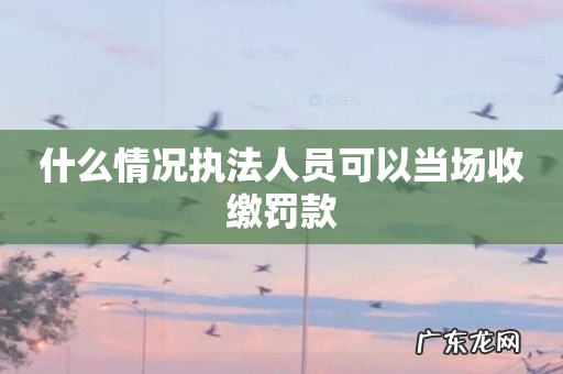 什么情况执法人员可以当场收缴罚款