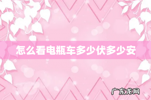 怎么看电瓶车多少伏多少安