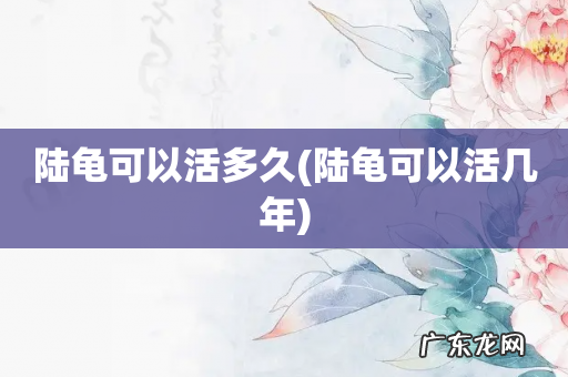 陆龟可以活几年 陆龟可以活多久