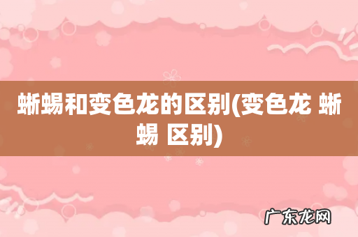 变色龙 蜥蜴 区别 蜥蜴和变色龙的区别