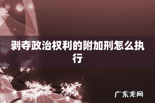 剥夺政治权利的附加刑怎么执行