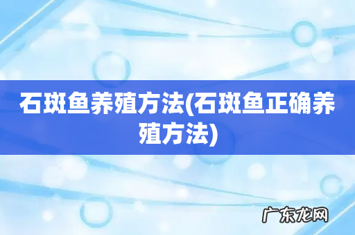 石斑鱼正确养殖方法 石斑鱼养殖方法