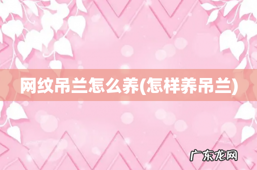 怎样养吊兰 网纹吊兰怎么养