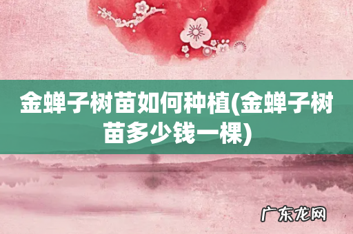 金蝉子树苗多少钱一棵 金蝉子树苗如何种植
