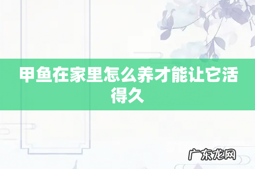 甲鱼在家里怎么养才能让它活得久