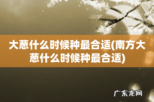 南方大葱什么时候种最合适 大葱什么时候种最合适