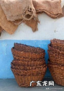 可可豆制作巧克力 可可豆如何做巧克力