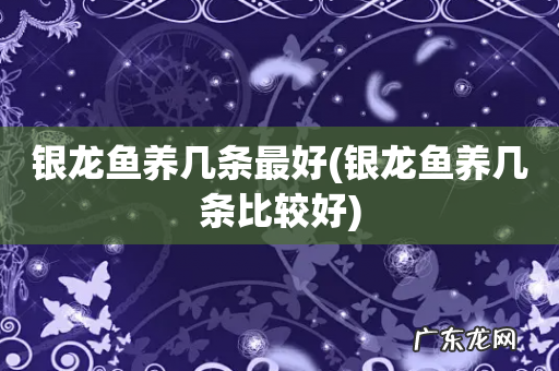 银龙鱼养几条比较好 银龙鱼养几条最好
