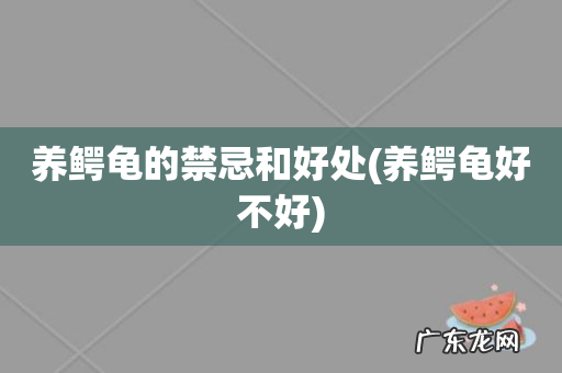 养鳄龟好不好 养鳄龟的禁忌和好处