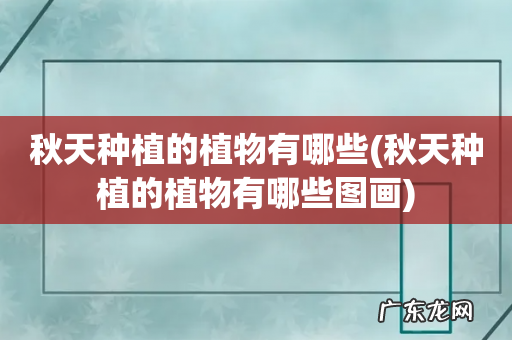 秋天种植的植物有哪些图画 秋天种植的植物有哪些