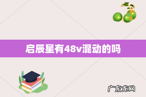 启辰星有48v混动的吗