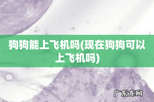 现在狗狗可以上飞机吗 狗狗能上飞机吗