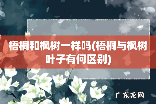 梧桐与枫树叶子有何区别 梧桐和枫树一样吗
