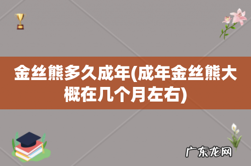 成年金丝熊大概在几个月左右 金丝熊多久成年