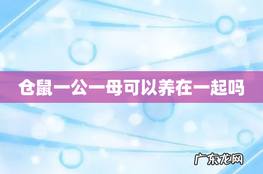 仓鼠一公一母可以养在一起吗