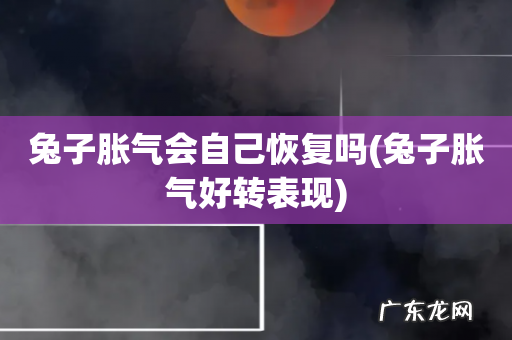 兔子胀气好转表现 兔子胀气会自己恢复吗