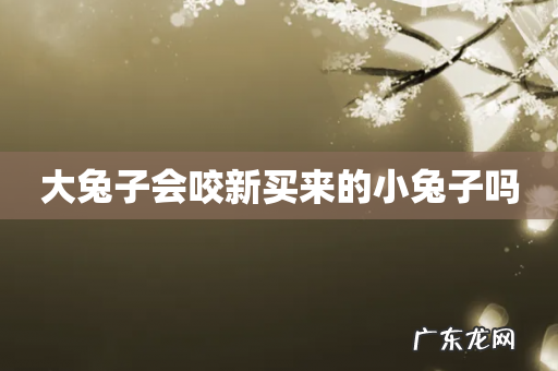 大兔子会咬新买来的小兔子吗