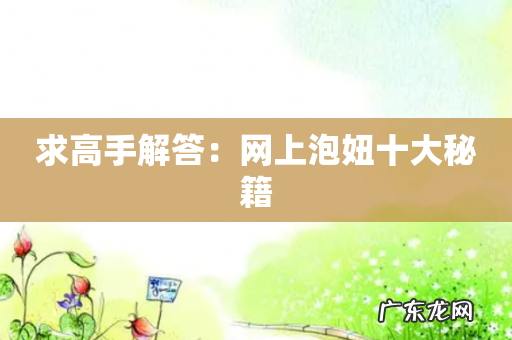 求高手解答：网上泡妞十大秘籍