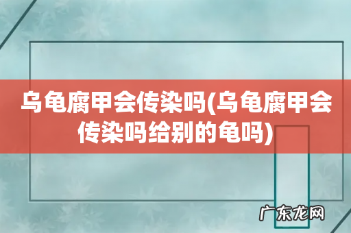 乌龟腐甲会传染吗给别的龟吗 乌龟腐甲会传染吗