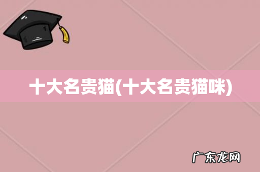 十大名贵猫咪 十大名贵猫