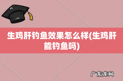 生鸡肝能钓鱼吗 生鸡肝钓鱼效果怎么样