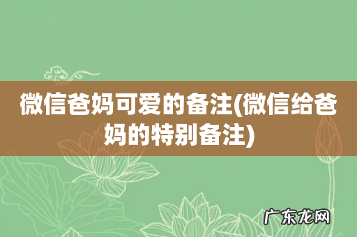 微信给爸妈的特别备注 微信爸妈可爱的备注