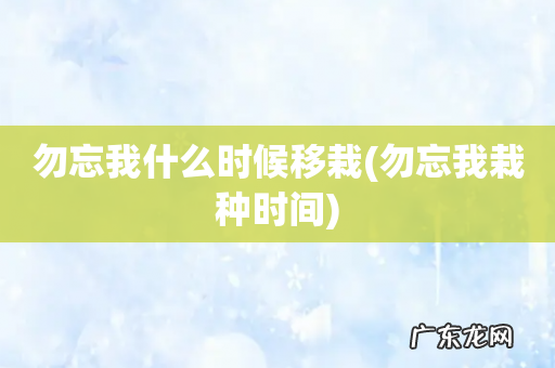 勿忘我栽种时间 勿忘我什么时候移栽