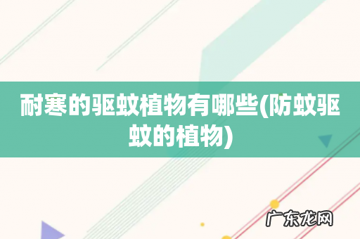 防蚊驱蚊的植物 耐寒的驱蚊植物有哪些