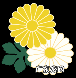 蓝莓干的制作过程 蓝莓干有营养吗