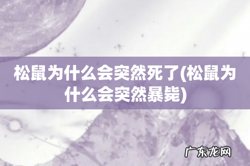 松鼠为什么会突然暴毙 松鼠为什么会突然死了