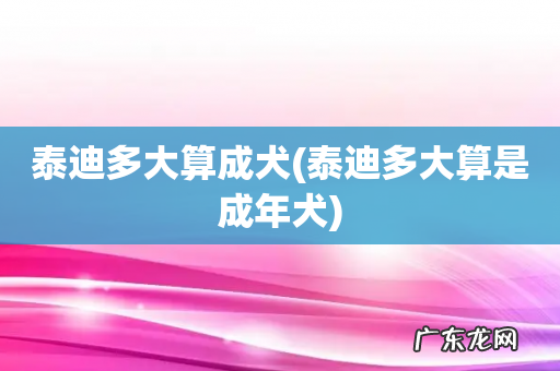 泰迪多大算是成年犬 泰迪多大算成犬