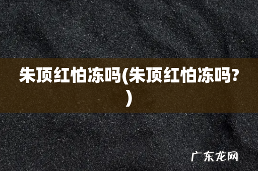 朱顶红怕冻吗? 朱顶红怕冻吗