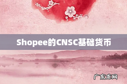 Shopee的CNSC基础货币