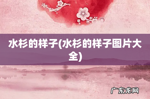 水杉的样子图片大全 水杉的样子