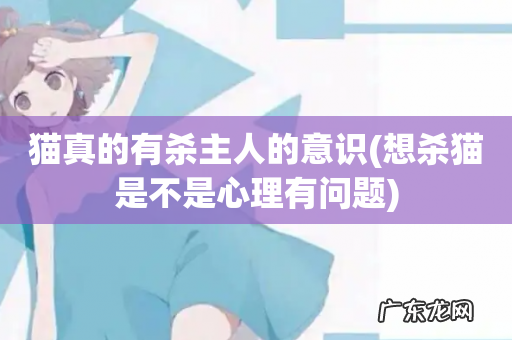 想杀猫是不是心理有问题 猫真的有杀主人的意识