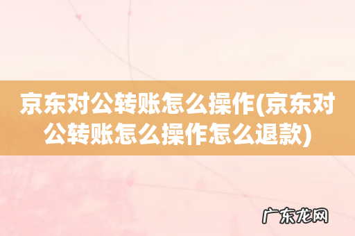 京东对公转账怎么操作怎么退款 京东对公转账怎么操作