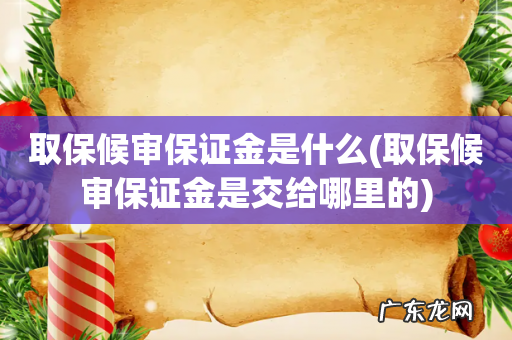 取保候审保证金是交给哪里的 取保候审保证金是什么
