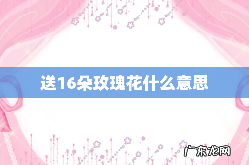 送16朵玫瑰花什么意思