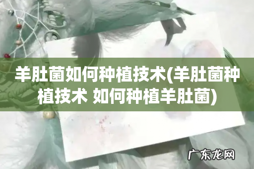 羊肚菌种植技术 如何种植羊肚菌 羊肚菌如何种植技术