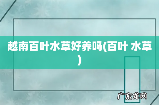 百叶 水草 越南百叶水草好养吗