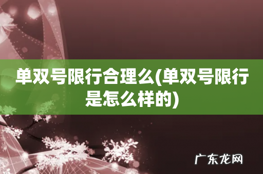 单双号限行是怎么样的 单双号限行合理么